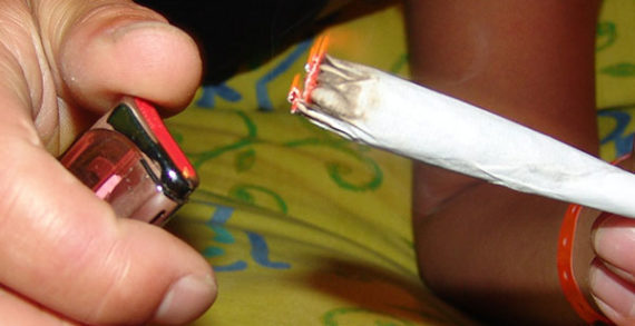 Dazed and confused: legalizing cannabis offers no payoff Dazed and confused: legalizing cannabis offers no payoff