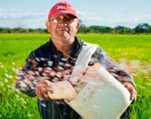 Farm industry upheaval brings a way of life to an end Farm industry upheaval brings a way of life to an end
