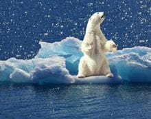 The clear and present danger of climate change The clear and present danger of climate change