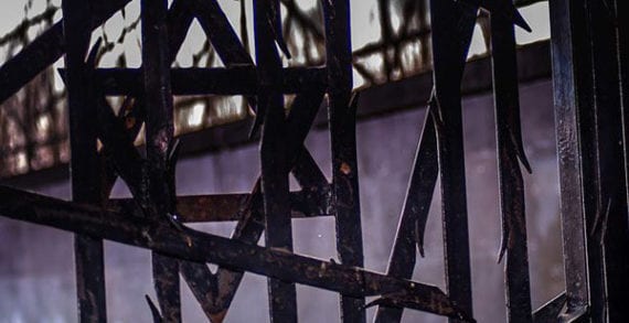 Canada helps preserve memory of Holocaust by buying Hitler’s book Canada helps preserve memory of Holocaust by buying Hitler’s book