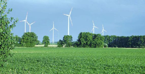 Green energy industries are impractical, destined to fail Green energy industries are impractical, destined to fail