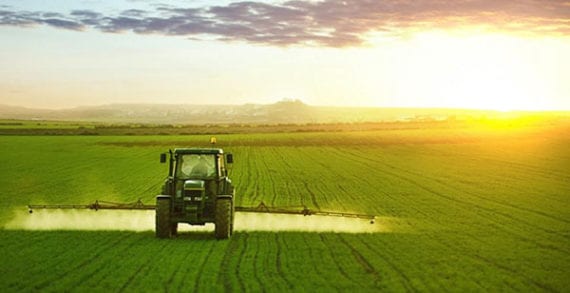 Canadian agriculture outlook uncertain: TD Canadian agriculture outlook uncertain: TD