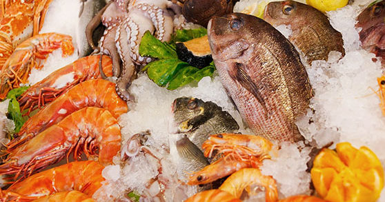 Fish food Fishing for seafood fraud report of questionable value