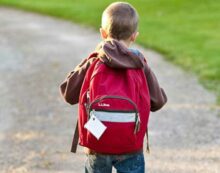 student education child Alberta throws a stick of dynamite into education system