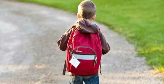 student education child Alberta throws a stick of dynamite into education system