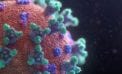 Anti-malarial drugs may be an effective treatment against coronavirus Anti-malarial drugs may be an effective treatment against coronavirus