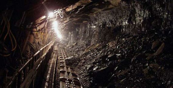 coal mining Sports is the canary in the COVID-19 coal mine