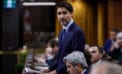 justin trudeau Why can’t Trudeau grasp what ‘conflict of interest’ means?