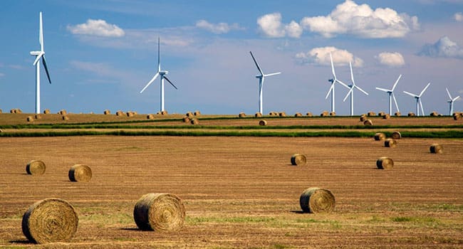 alberta green ecomomy energy wind agriculture Investing in green future easier said than done for Alberta