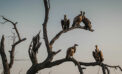 How to avoid conflicts on a volunteer committee How to avoid conflicts on a volunteer committee