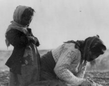armenian genocide The return of the Armenian Genocide must be stopped
