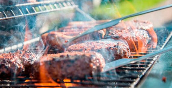 BBQ money, roadkill, investors, Why I served roadkilll to my investors