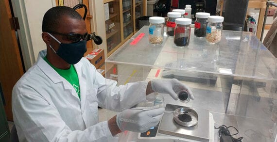 biochar Agricultural and forestry waste fanning the flames of innovation