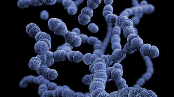 Disease Incidents of serious parasitic disease on the rise in Alberta