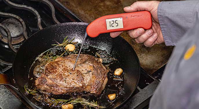 Thermapen ONE a high-tech way to check your meat temperature