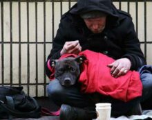Homeless poverty Why a universal basic income falls short
