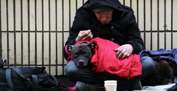 Homeless poverty Why a universal basic income falls short